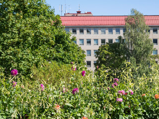 Fototapete bei efototapeten.de bestellen   