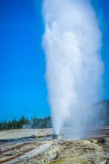 The Mammoth Hot Springs Area in Yellowstone National Park, Wyoming