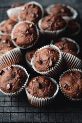 Close up of freshly baked chocolate chip zucchini muffins.