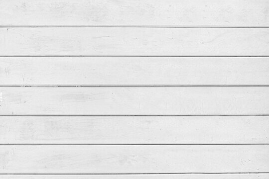 picture of white wooden fence that looks cool and charming forever suitable as background for placing text and products.