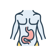 Color illustration icon for stomach