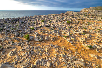 Obraz premium Rocky Coast, Pría Cliffs, Karst Formation, Bufones de Pría, Protrected Landscape of the Oriental Coast of Asturias, Llames de Pria, Llanes, Asturias, Spain, Europe