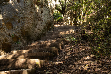 Naklejka na ściany i meble High, winding, stone steps in the forest in the breaking rays of the sun