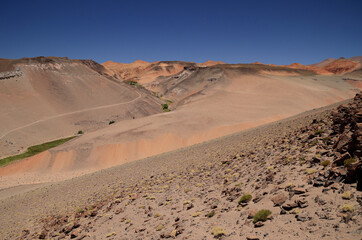 Puna landscape near the Antofalla Salar, Argentina