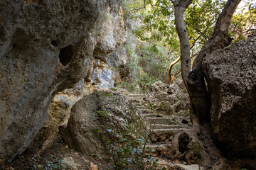 High, winding, stone steps in the forest in the breaking rays of the sun