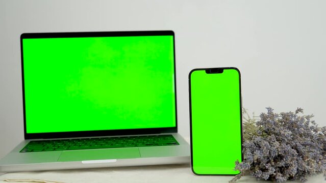 dried lavender flowers Mockup image of Laptop, tablet and mobile blank green screen in vertical position isolated on green background, Concept device mockup.