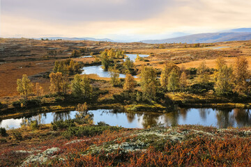 Fototapeta na wymiar Forollhogna National Park, Norway