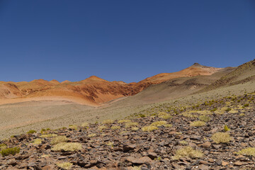 Puna landscape near the Antofalla Salar, Argentina