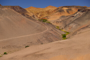 Puna landscape near the Antofalla Salar, Argentina