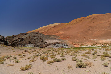 The beautiful colors of the Puna, Argentina