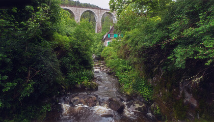 Ravennaschlucht, black forest, The Ravenna Gorge is a gorge in the southern Black Forest. It opens...