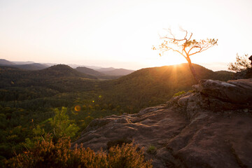 Rheinland Pfalz, sch&ouml;ne Orte im pf&auml;lzer wald, Deutschland
