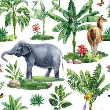 Tropical seamless pattern, Exotic jungle background. Hand drawn painting palm, succulents, animal alpaca and elephant