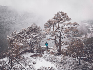 guy between snow covered trees, view at palatine valley