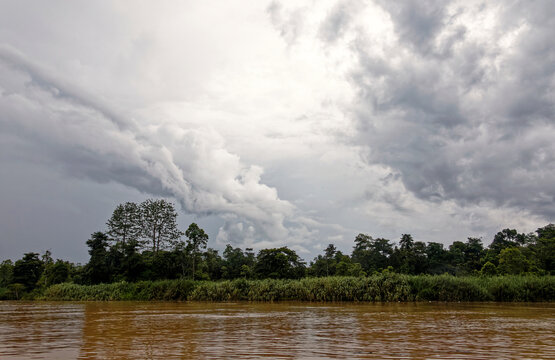 Dschungelfluss auf Borneo
