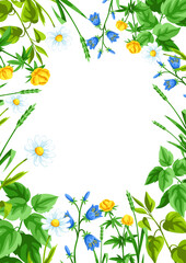 Background with meadow flowers. Herbs and cereal grass. Beautiful decorative spring plants.