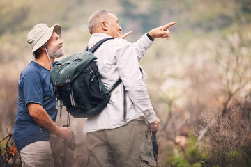 Hiking, pointing and senior men in nature for travel, walking and on a backpack adventure in Spain. Search, view and elderly friends doing bird watching and looking at environment in the mountains - obrazy, fototapety, plakaty