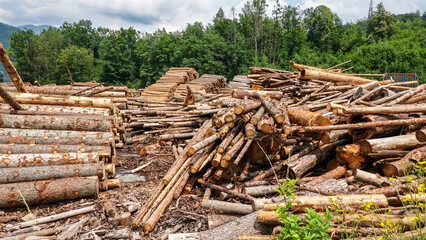 Holzlager auf dem Weg zum Bohinj See im Triglav Nationalpark