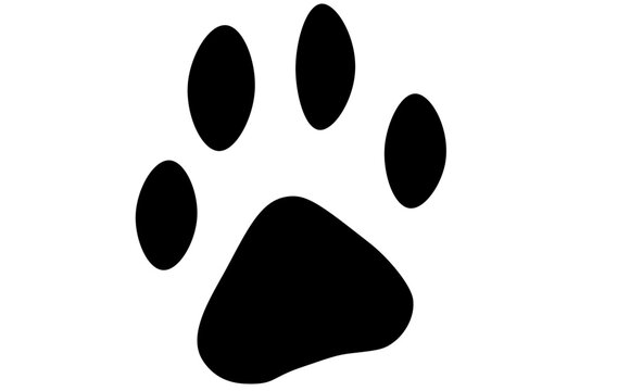 Luchsspur Pfoten Abdruck Vektorgrafik Wildtier Luchs