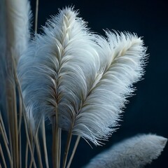 Soft White Feathery Pampas Grass