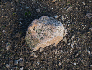 Gray stone on brown ground