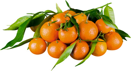 Orange tangerines fruit with green leaf