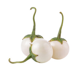 white eggplant on transparent png