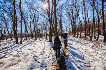 An active group of people enjoy a peaceful winter day in the snow-covered forest, walking and hiking together in search of beauty in nature. Rear view.