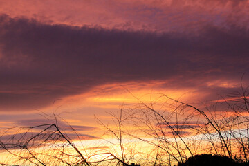 soleil couchant en pleine campagne