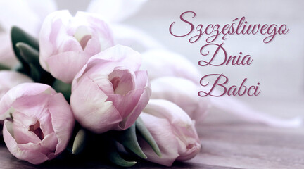 kartka lub baner z życzeniami szczęśliwego dnia babci w kolorze fioletowym na szaro-białym tle z efektem bokeh i obok bukietu fiołkoworóżowych kwiatów tulipanów