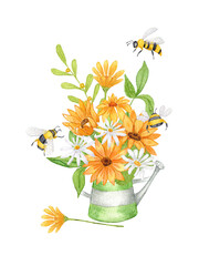 Watercolor Sunflower Clipart. A bouquet of sunflowers in a metal watering can. A composition of sunflowers, daisies and bees. Hand drawing.