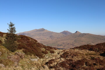 Snowdonia snowdon Moel Hebog, Nantlle Ridge