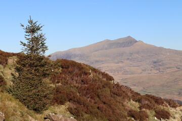 Snowdonia snowdon Moel Hebog, Nantlle Ridge