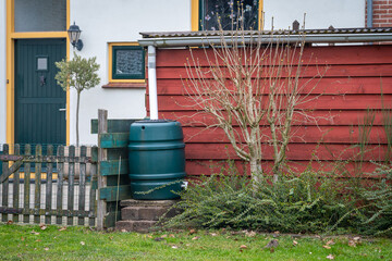 Green rain barrel for rainwater harvesting attached to the drainage of small wooden shed in the...