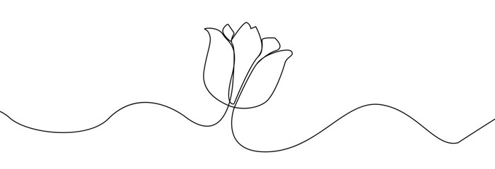 Tulip one line drawing.Abstract flower continuous line. Minimalist contour drawing of tulip. Continuous line drawing of flower tulip.Hand drawn sketch of flower with leaves.