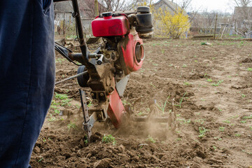 A male farmer plows the land on a farm with a walk-behind tractor. Tillage season in the village for grow natural products. Agriculture concept
