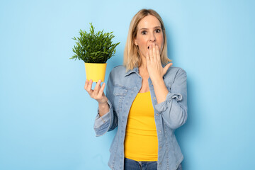 Surprised woman holding green indoor plant. Potted plant market concept.