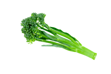 baby broccoli isolated on transparent png