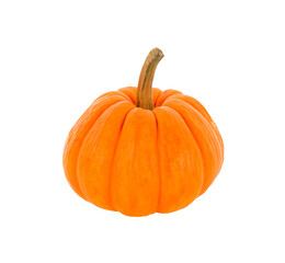 Small pumpkin isolated on   transparent png