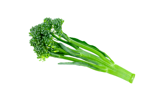 baby broccoli isolated on transparent png