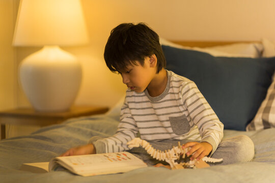 恐竜の模型を持って図鑑を眺める男の子