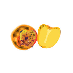Color sketch of fruit with transparent background