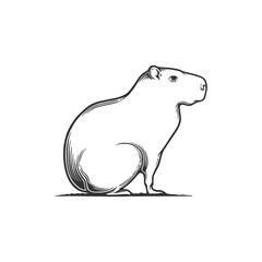 Capybara Hand Drawn Vector Illustration. Design element for shirt design, logo, sign, poster, banner, card