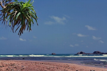 exotic tropic send sea coast with surf in Sri Lanka