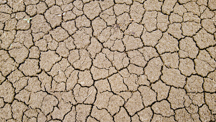 Cracked dry ground texture. Dry ground background