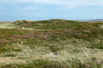 D&uuml;nenlandschaft am Ellenbogen auf Sylt