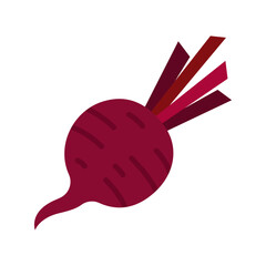 Beet or beets beetroot vegetable or radish icon.