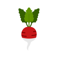 Red radish icon with green leaves. Vegetable from the garden.