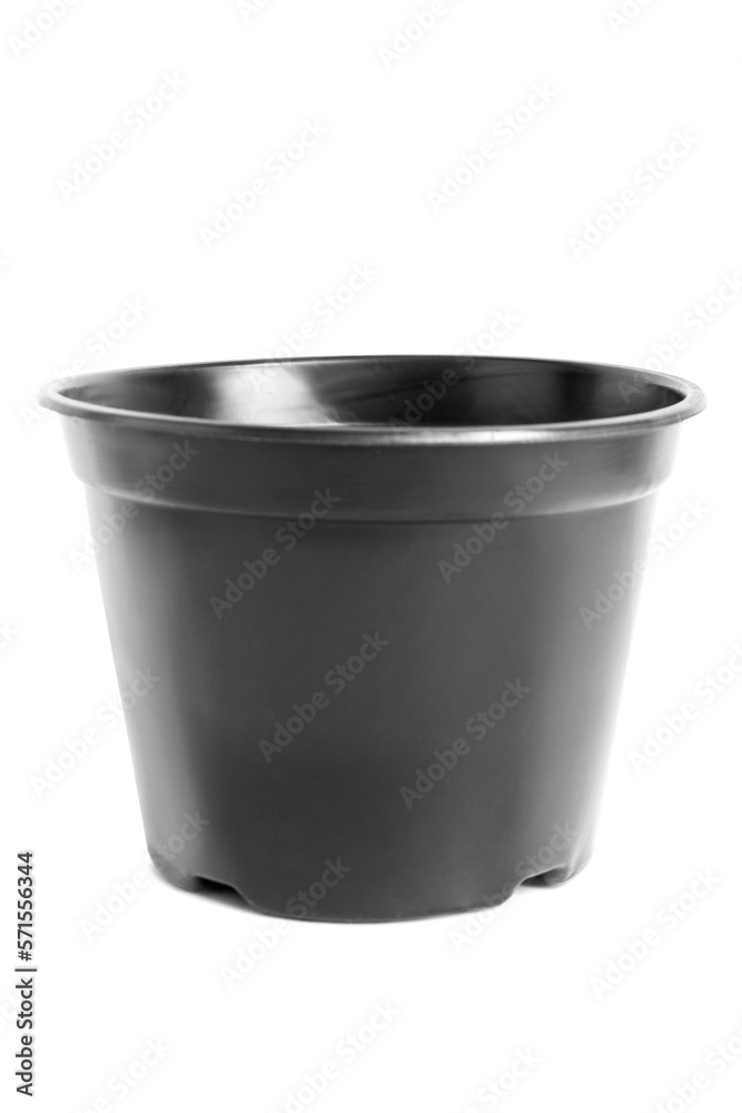 Wall mural Plant pot isolated