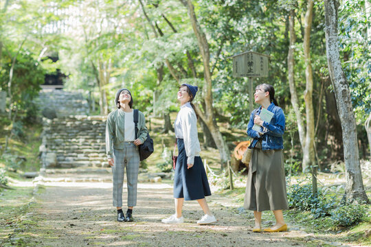 参道を歩く3人の女性